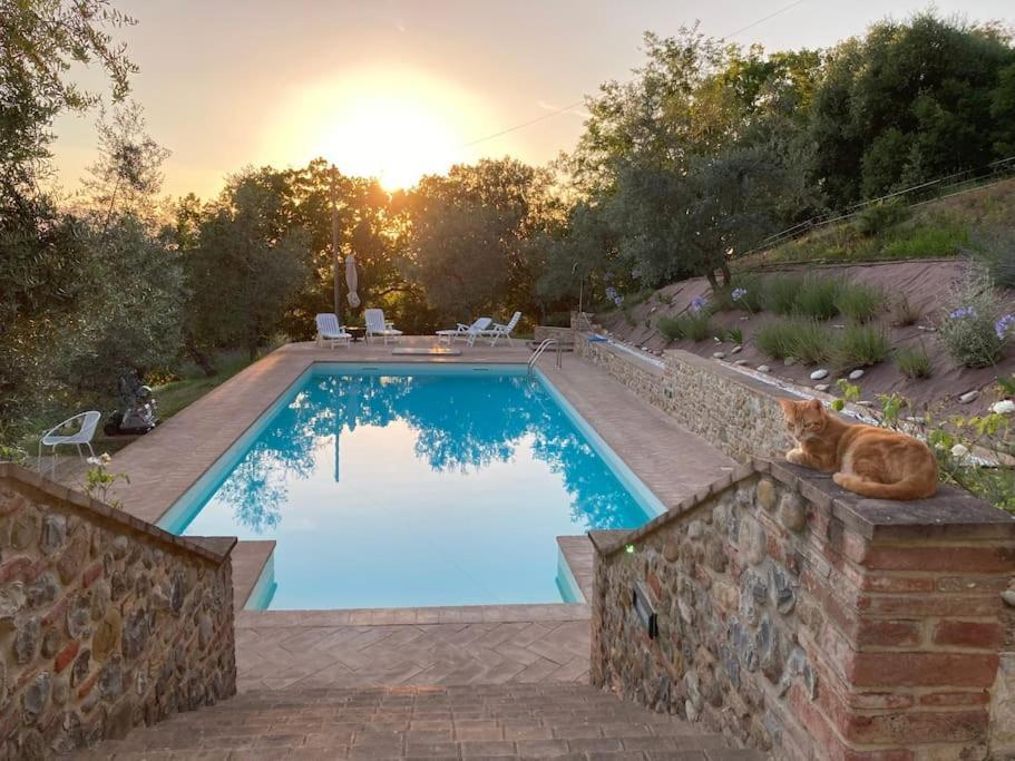 Vesper - Casale Con Piscina - Ad Galli Cantum Читта-делла-П'єве Екстер'єр фото
