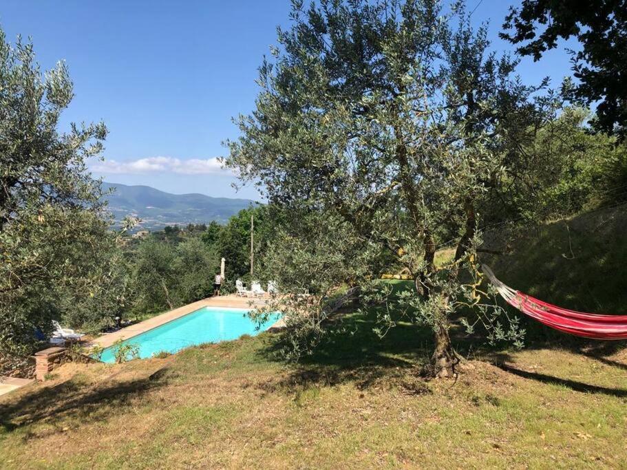 Vesper - Casale Con Piscina - Ad Galli Cantum Читта-делла-П'єве Екстер'єр фото